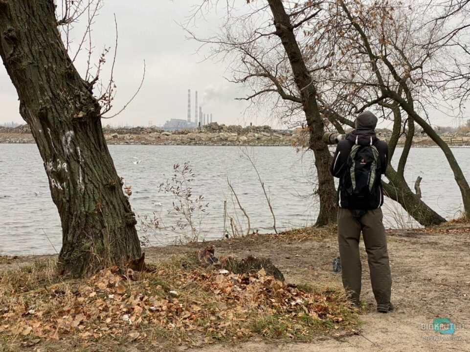 Охота без жертв: в Днепре появился модный бёрдвотчинг - рис. 6