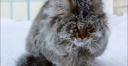 В Днепре обещают сильный мороз (ДОКУМЕНТ) - рис. 3