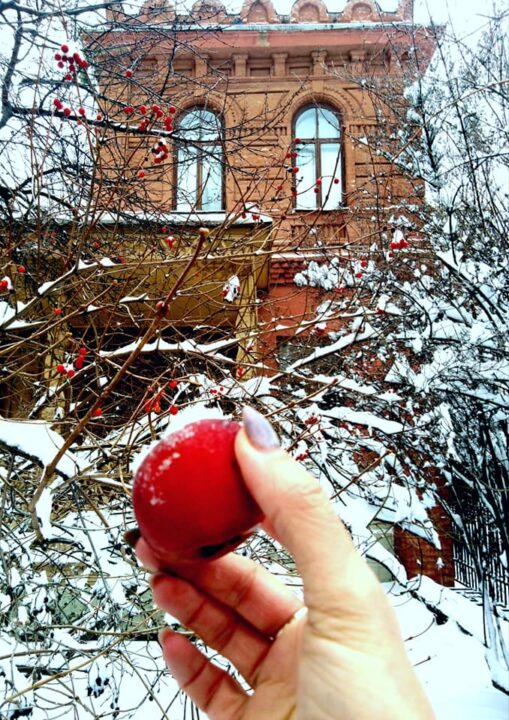 Яблоки под снегом: в Днепре созревшие плоды провисели на ветках до середины зимы - рис. 3