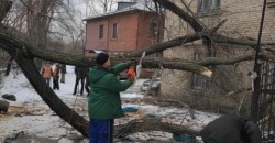 Последствия циклона: в Днепре коммунальщики убирают упавшие деревья - рис. 5