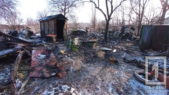 Возможен поджог: в Кривом Роге в пожаре погибли 9 котиков - рис. 1