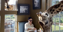 Завтрак с жирафами: жена мэра Днепра Марина Филатова продолжает делиться впечатлениями об Африке - рис. 7