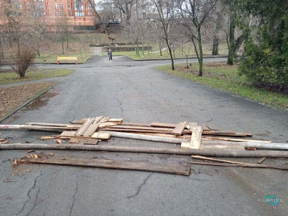 В днепровском парке Глобы озеро снова вышло из берегов (ФОТО) - рис. 8