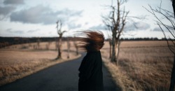 Штормовое предупреждение: в Днепре и области ожидается сильный ветер - рис. 5