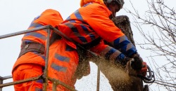Как в Днепре на Мандрыковской удаляли аварийные деревья - рис. 5