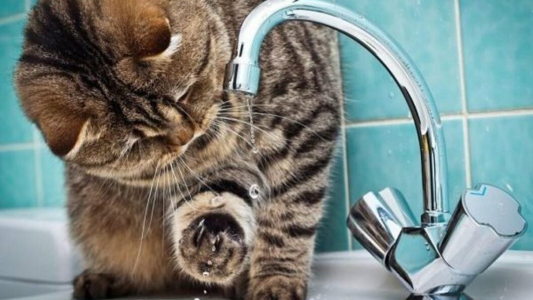 В Днепре отключили воду в Соборном районе - рис. 1