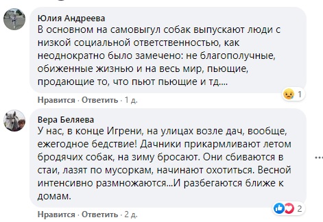 Что делать: в Днепре бродячие собаки чувствуют себя хозяевами улиц - рис. 5