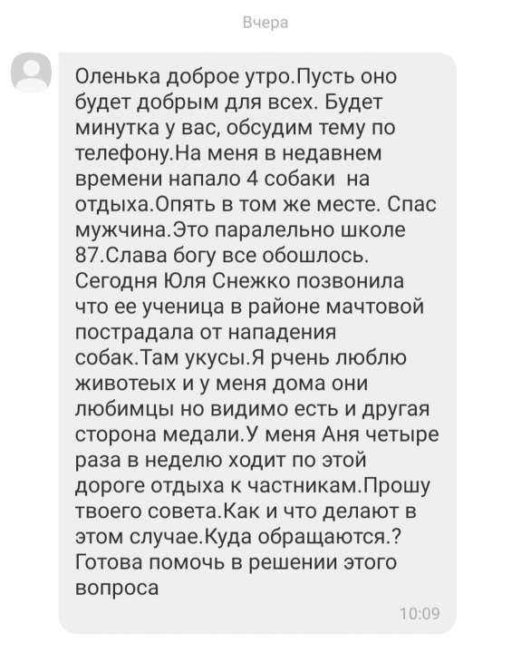 Что делать: в Днепре бродячие собаки чувствуют себя хозяевами улиц - рис. 2