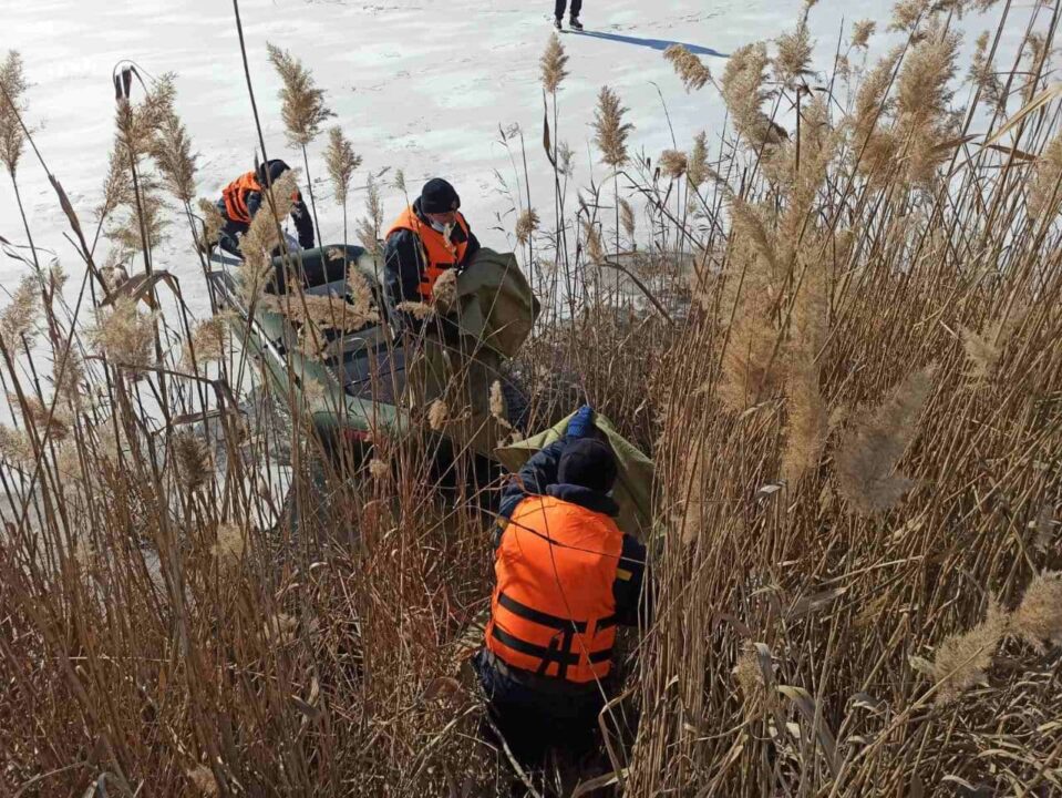 В Покрове спасли лебедя, который вот-вот мог погибнуть (ФОТО) - рис. 2