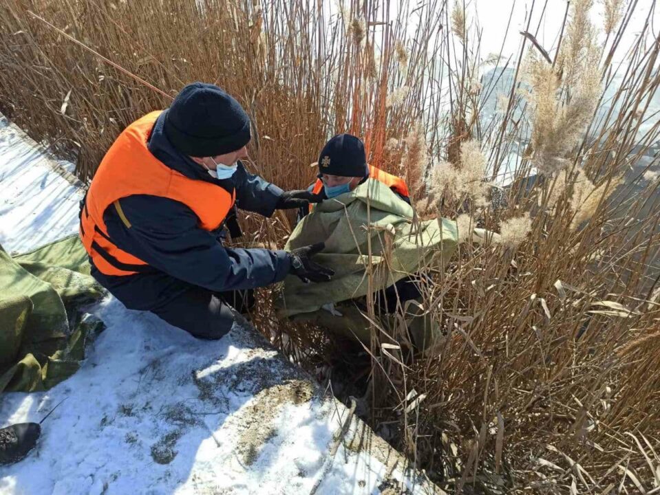 В Покрове спасли лебедя, который вот-вот мог погибнуть (ФОТО) - рис. 3