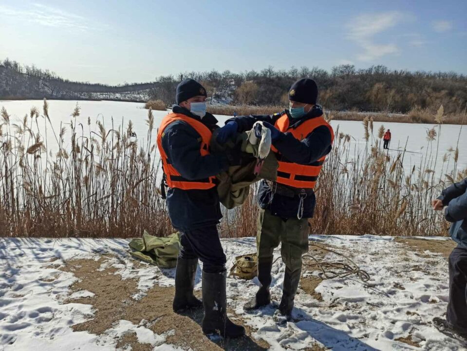 В Покрове спасли лебедя, который вот-вот мог погибнуть (ФОТО) - рис. 4