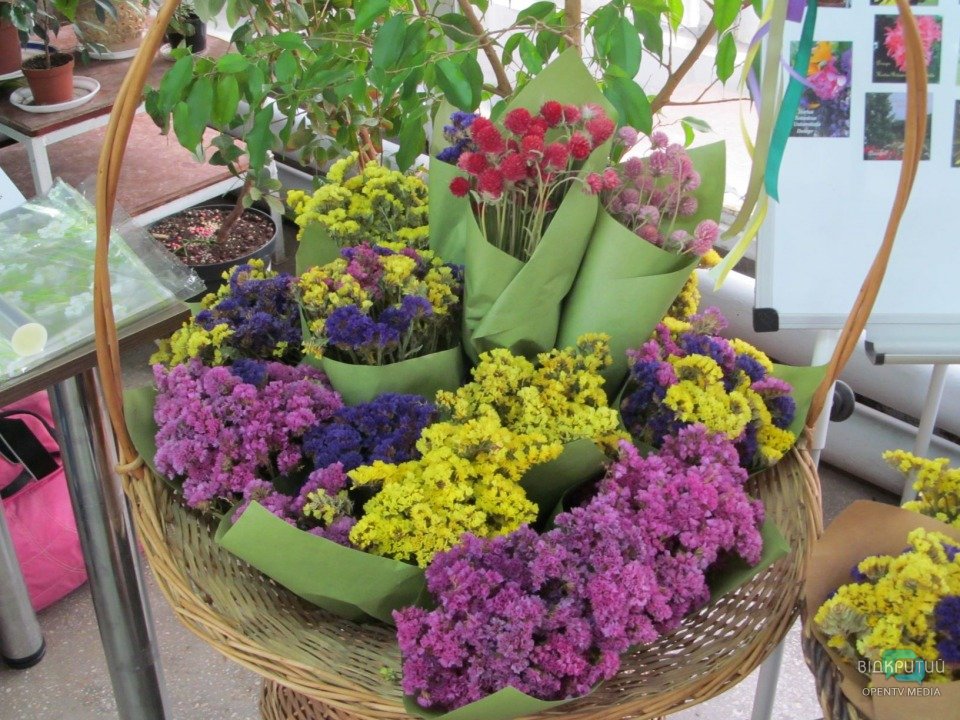 В Днепровском ботаническом саду открылась выставка-продажа цветов (ФОТО) - рис. 1