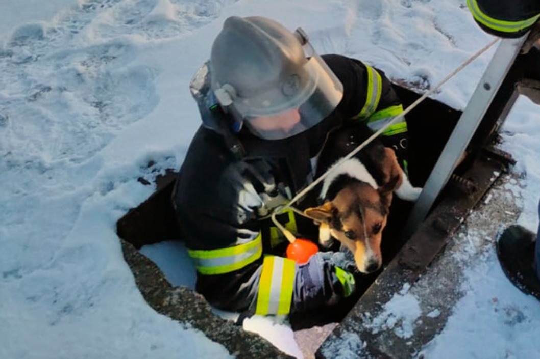 В Перещепино сотрудники ГСЧС спасли собаку - рис. 2
