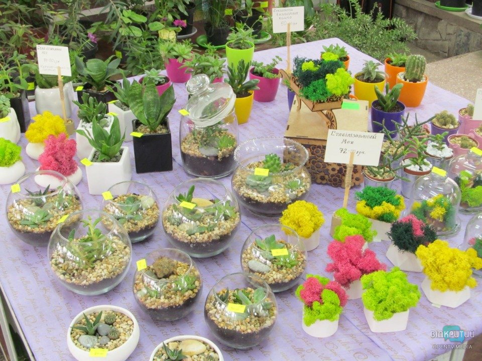 В Днепровском ботаническом саду открылась выставка-продажа цветов (ФОТО) - рис. 4