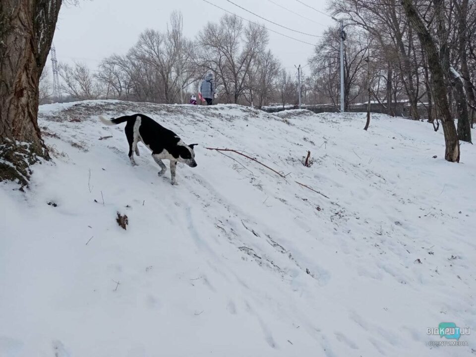 Десятки людей пришли полюбоваться: в Днепре на Красном Камне замерзло озеро (ФОТО) - рис. 9