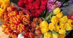 Неожиданно: в центре Днепра после 8 марта подорожали цветы - рис. 5