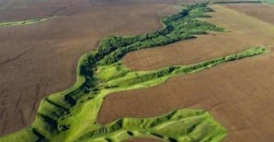 В Днепропетровской области чиновники вывели из госсобственности 800 га земли - рис. 6
