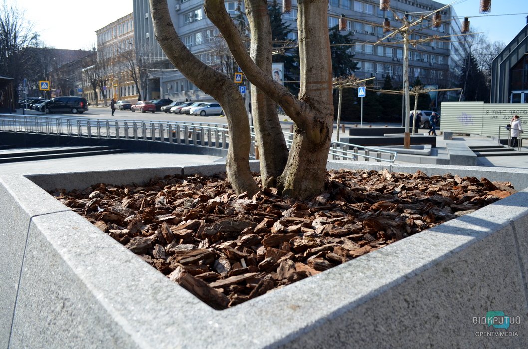 В Днепре на пешеходной улице Короленко пропало "железное дерево" - рис. 5