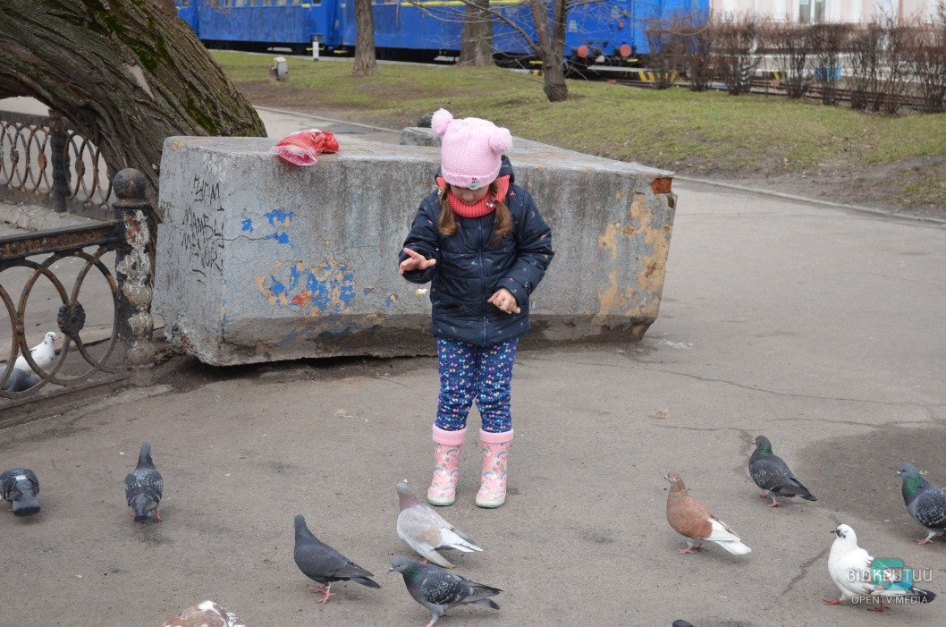 Атмосфера выходного дня: в днепровском парке Глобы утки разгуливают по аллеям - рис. 6