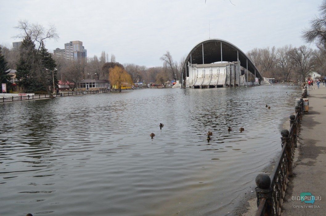 Атмосфера выходного дня: в днепровском парке Глобы утки разгуливают по аллеям - рис. 8
