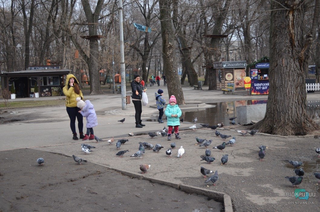 Атмосфера выходного дня: в днепровском парке Глобы утки разгуливают по аллеям - рис. 15