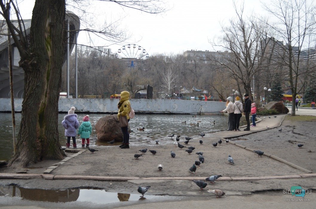 Атмосфера выходного дня: в днепровском парке Глобы утки разгуливают по аллеям - рис. 11