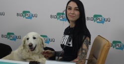 Зрозуміти собаку: зоопсихолог із Дніпра про виховання безпритульних тварин - рис. 2