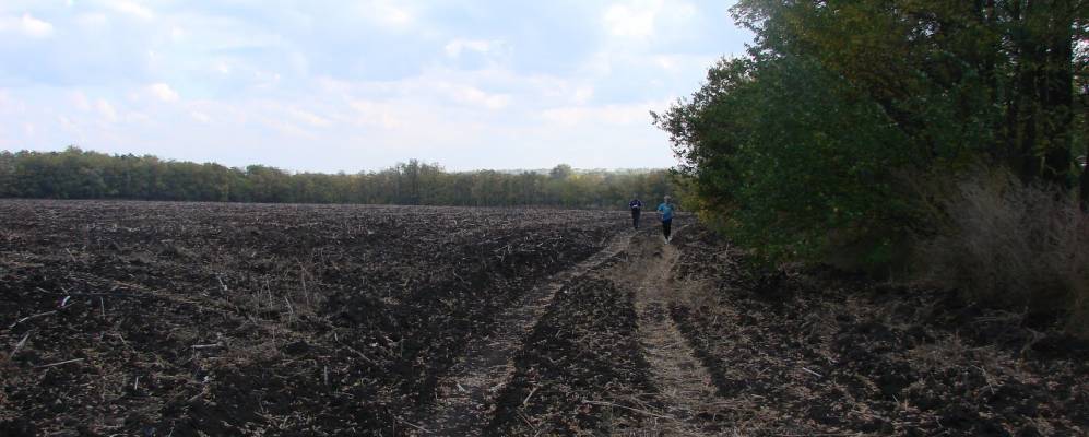 В Синельниковском районе прокуратура пытается вернуть громаде землю - рис. 1