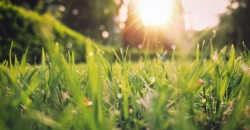 До +13°C: какая погода будет в Днепре с 31 марта по 1 апреля - рис. 6