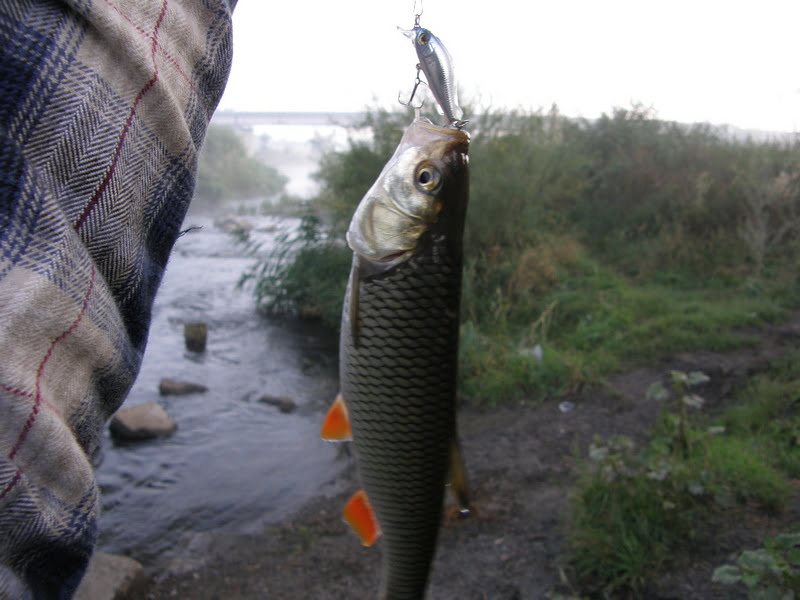 Когда и где лучше ловить рыбу весной на реке