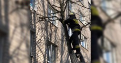 В Днепре спасли кота, а в Кривом Роге – собаку - рис. 18