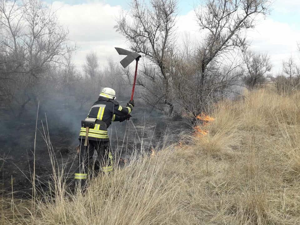 Днепровские пожарные спасли крохотных щенка и совенка - рис. 4
