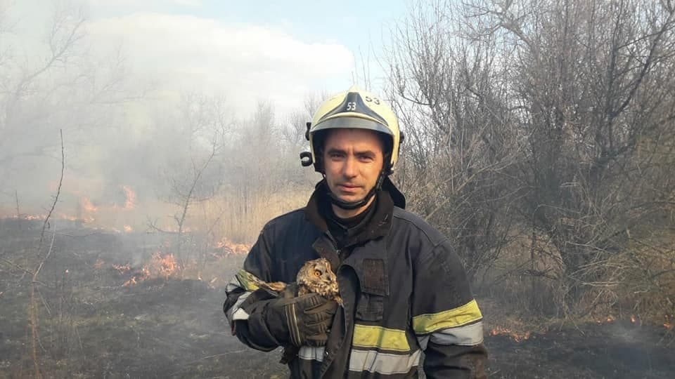Днепровские пожарные спасли крохотных щенка и совенка - рис. 6