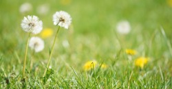 Первое апреля обещают потепление до +20°C: и это не шутка - рис. 5