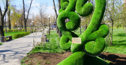 В центральном парке Покрова появилось «Дерево счастья» (ФОТО) - рис. 19