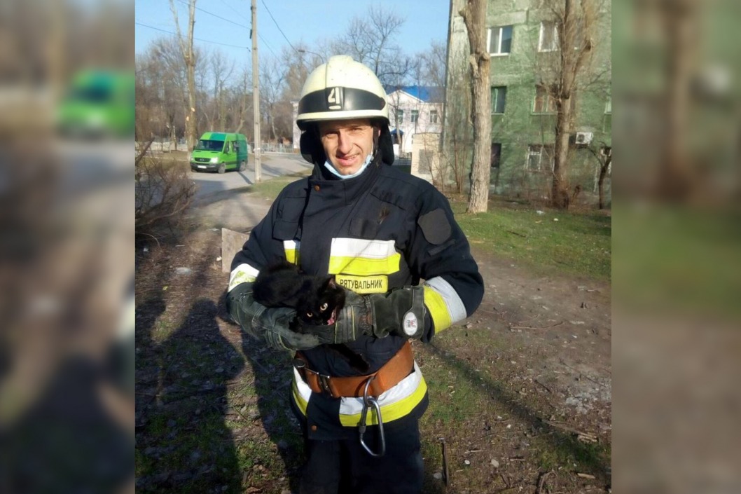 Днепровские спасатели сняли с дерева испуганного кота - рис. 3