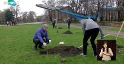 В центре Каменского высадили новые деревья и кусты - рис. 16