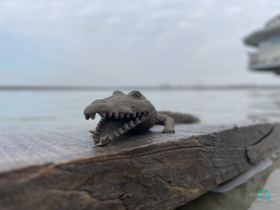 В Днепре на набережной заметили западноафриканского крокодила - рис. 8