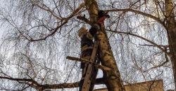 В Вольногорске сотрудники ГСЧС спасли застрявшего на дереве кота (ФОТО) - рис. 7
