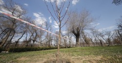 В днепровском парке «Новокодацкий» высадили 120 деревьев - рис. 2