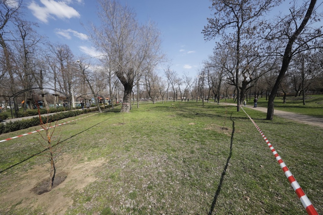 В днепровском парке «Новокодацкий» высадили 120 деревьев - рис. 5