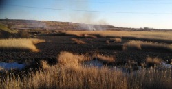 В Днепропетровской области жители продолжают поджигать сухую траву (ФОТО + ВИДЕО) - рис. 5