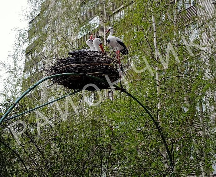 Сити-арт по-днепровски: в одном из дворов появились необычные инсталляции (ФОТО) - рис. 1