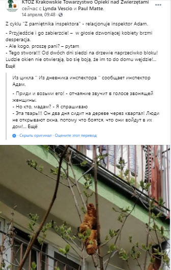Вызвали спасателей: в Кракове круассан на дереве приняли за страшное животное - рис. 1