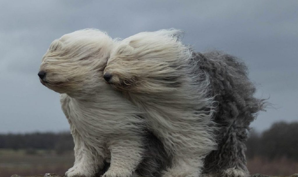 По Днепру и области объявлено штормовое предупреждение - рис. 1