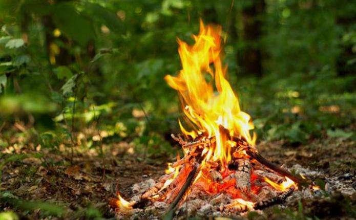 Пожарная опасность в Днепропетровской области: какой будет погода на праздники - рис. 1