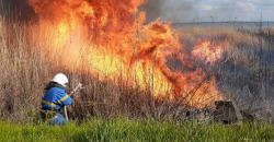 Пожар был виден за километры: в Днепропетровской области горел камыш - рис. 5