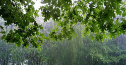 Дожди, грозы и град: на выходных погода в Днепропетровской области испортится - рис. 4
