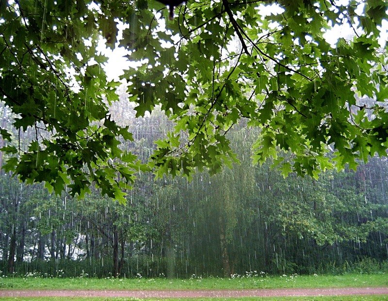 Дожди, грозы и град: на выходных погода в Днепропетровской области испортится - рис. 1