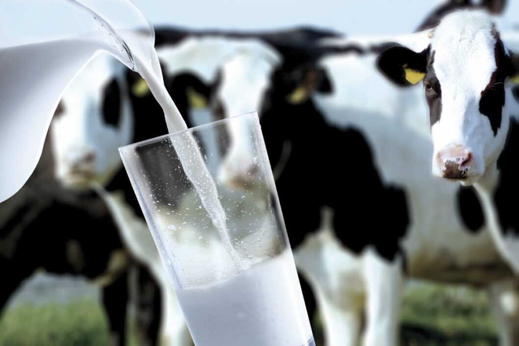 Украина будет поставлять молоко в Кувейт - рис. 1